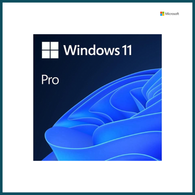 WIndows 11 pro